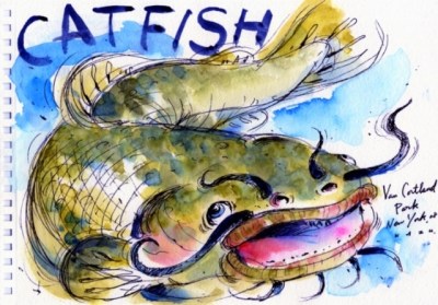 Catfish